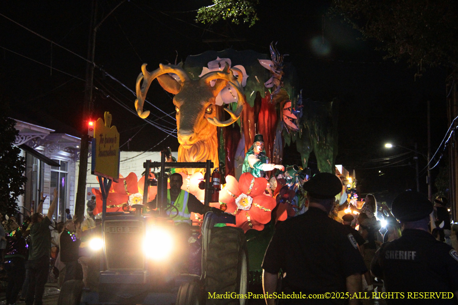 Krewe-of-Hermes-002900