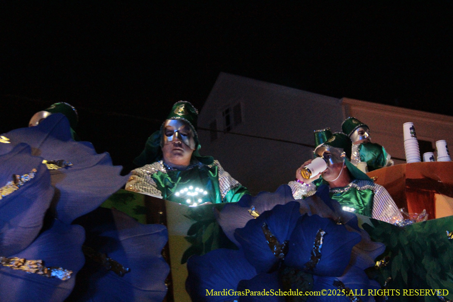 Krewe-of-Hermes-002956