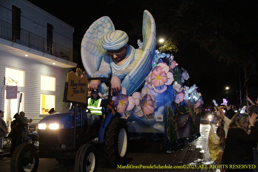 Krewe-of-Hermes-003031