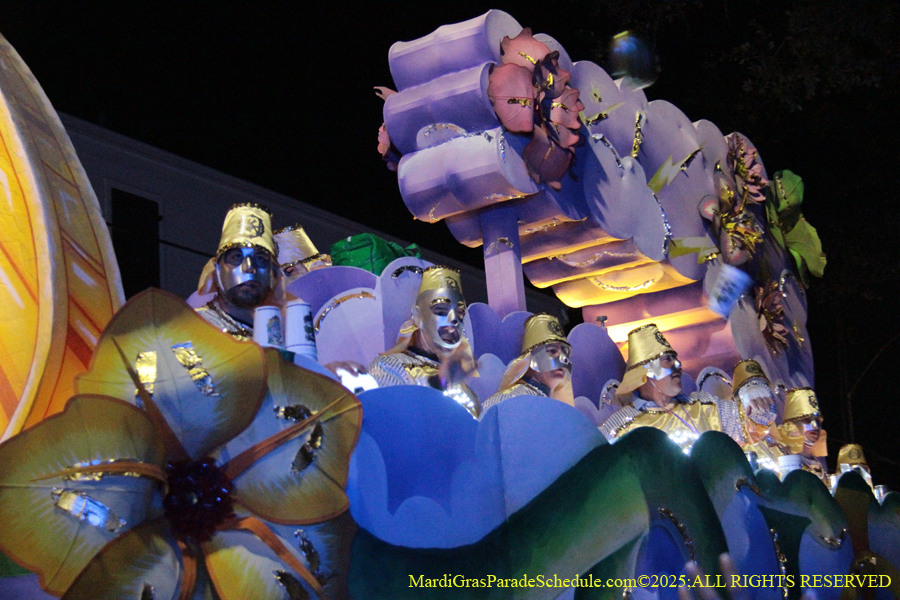 Krewe-of-Hermes-003042