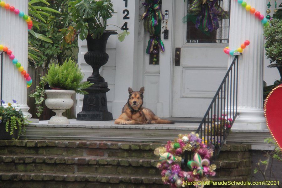 Krewe-of-House-Floats-02606-Audubon-Riverside-2021