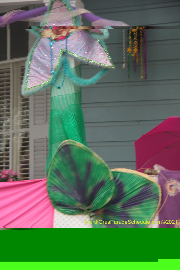 Krewe-of-House-Floats-02788-Audubon-Riverside-2021