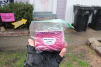 Krewe-of-House-Floats-02661-Audubon-Riverside-2021