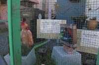 Krewe-of-House-Floats-03605-Carrollton-Hollygrove-2021