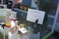 Krewe-of-House-Floats-03608-Carrollton-Hollygrove-2021