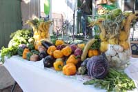 Krewe-of-House-Floats-03612-Carrollton-Hollygrove-2021