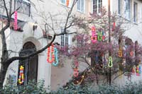 Krewe-of-House-Floats-00846-Central-City