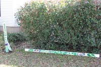 Krewe-of-House-Floats-03777-Lakeview-Lakeshore-WestEnd-2021