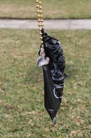 Krewe-of-House-Floats-03830-Lakeview-Lakeshore-WestEnd-2021