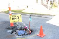 Krewe-of-House-Floats-01087-Mid-City-2021