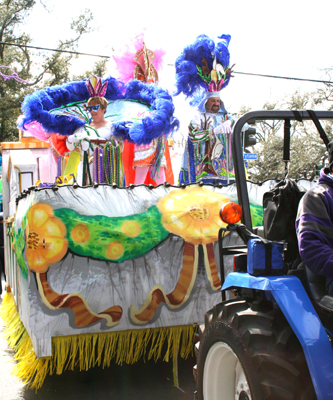KREWE_OF_IRIS_2007_PARADE_0019