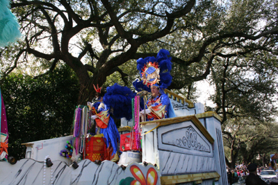 2008-Krewe-of-Iris-New-Orleans-Mardi-Gras-Parade-0032