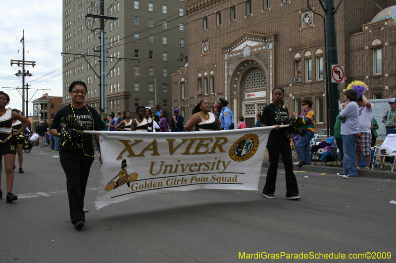 2009-Krewe-of-Iris-presents-On-the-Road-Again-Mardi-Gras-New-Orleans-0109