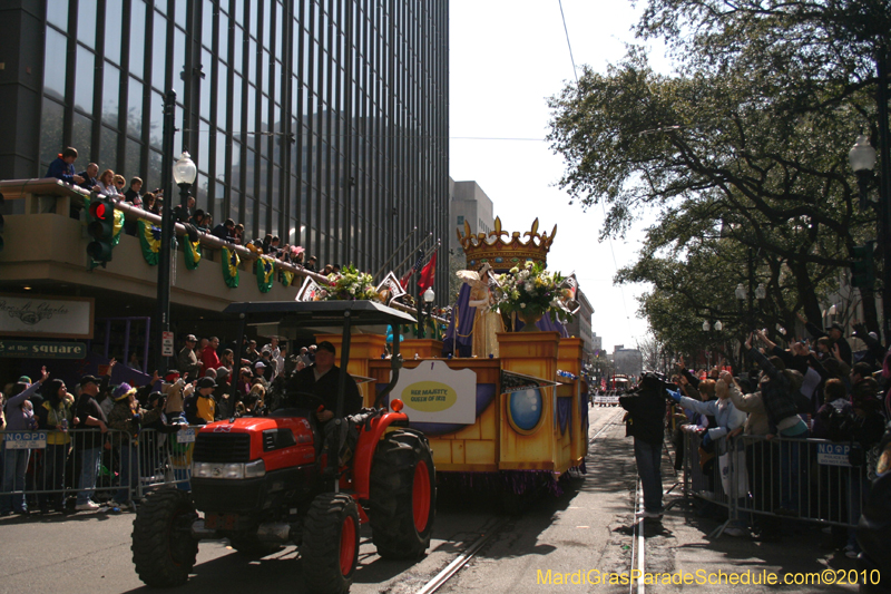 Krewe-of-Iris-2010-Carnival-New-Orleans-7218