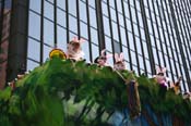 Krewe-of-Iris-2010-Carnival-New-Orleans-7259