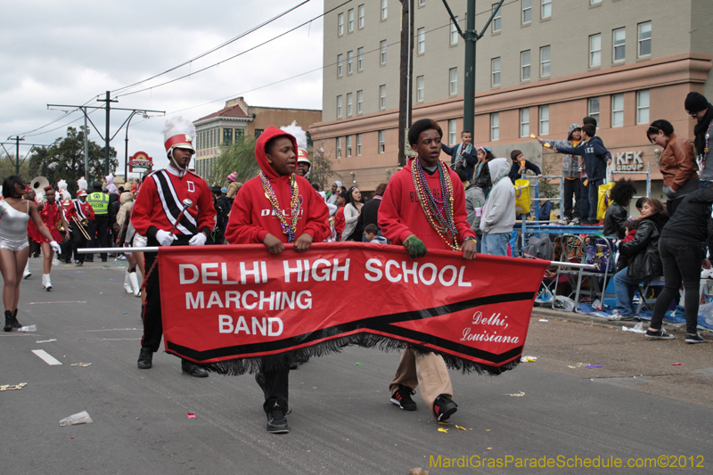Krewe-of-Iris-2012-0121