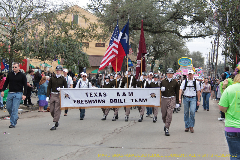 Krewe-of-Iris-2013-1058