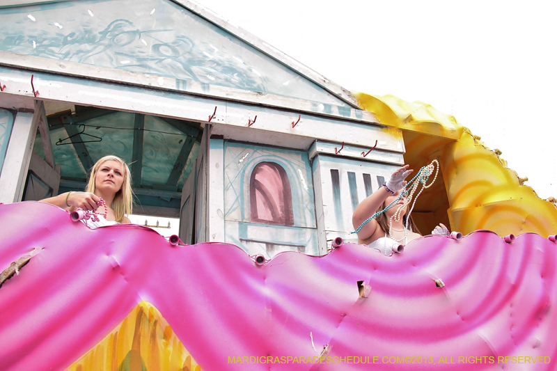 Krewe-of-Iris-2013-1066