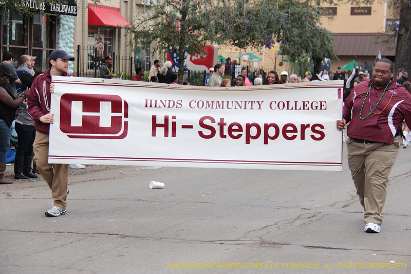 Krewe-of-Iris-2013-1074