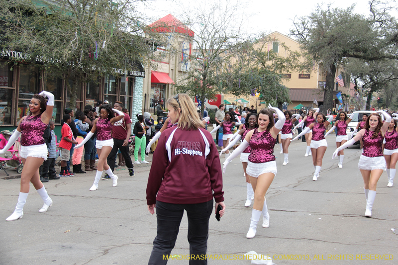 Krewe-of-Iris-2013-1075
