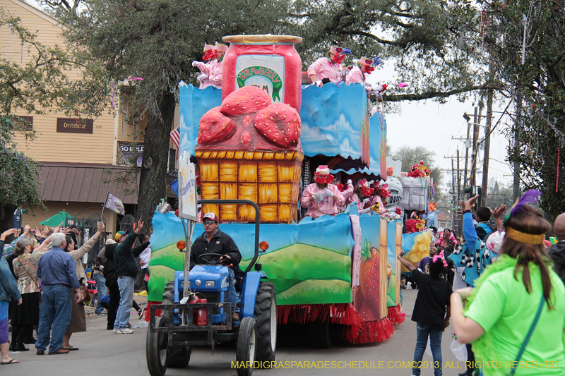 Krewe-of-Iris-2013-1078