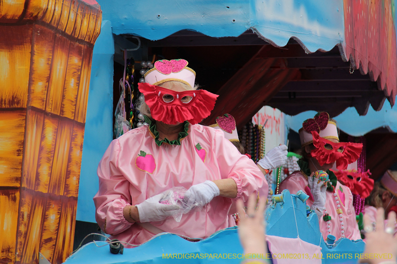 Krewe-of-Iris-2013-1079