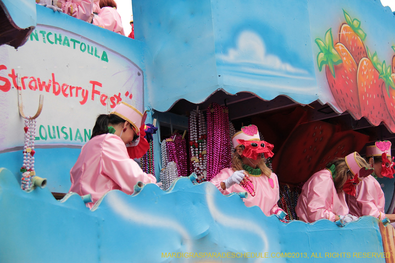 Krewe-of-Iris-2013-1084