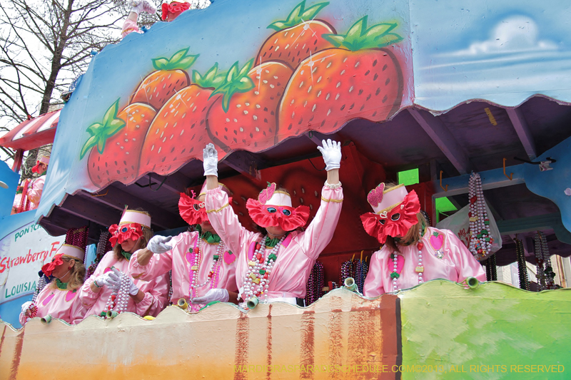 Krewe-of-Iris-2013-1088