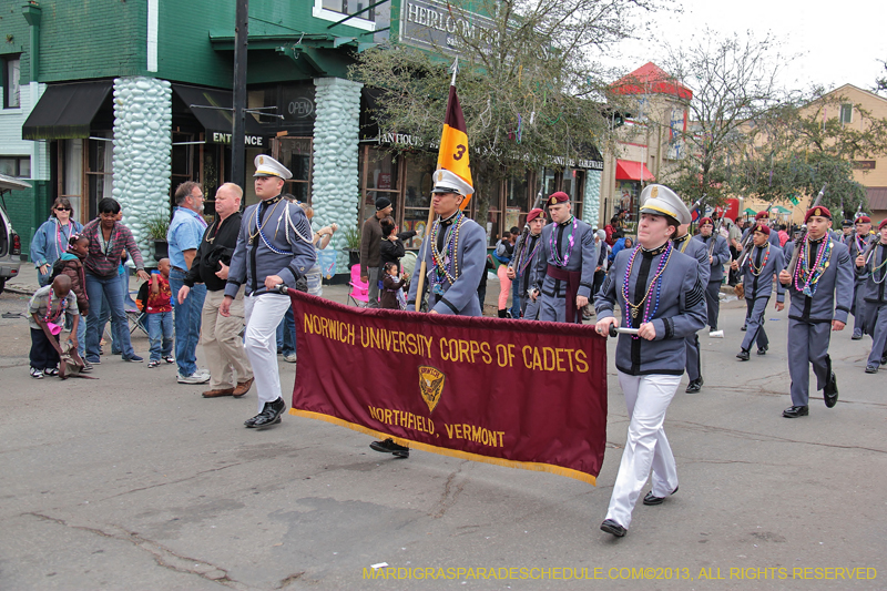 Krewe-of-Iris-2013-1100