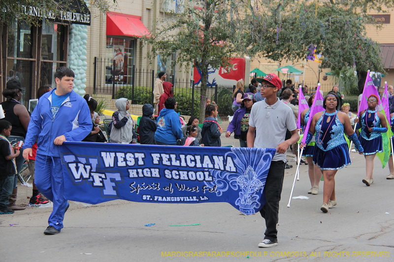 Krewe-of-Iris-2013-1157