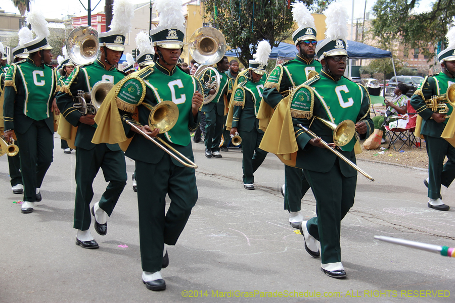 2014-Krewe-of-Iris-11069