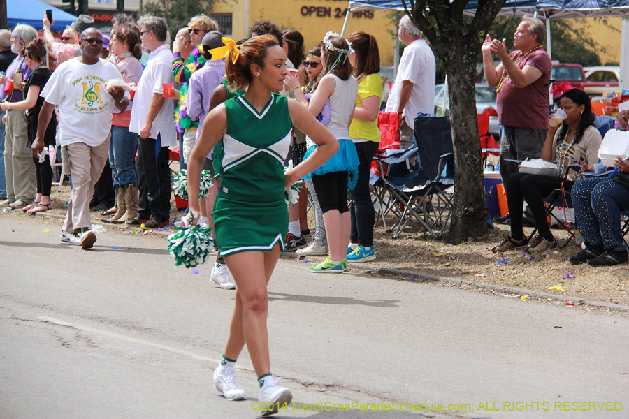 2014-Krewe-of-Iris-11086