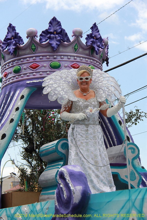 2014-Krewe-of-Iris-11093