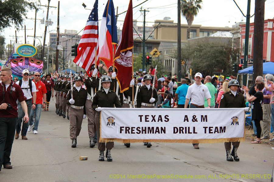 2014-Krewe-of-Iris-11095