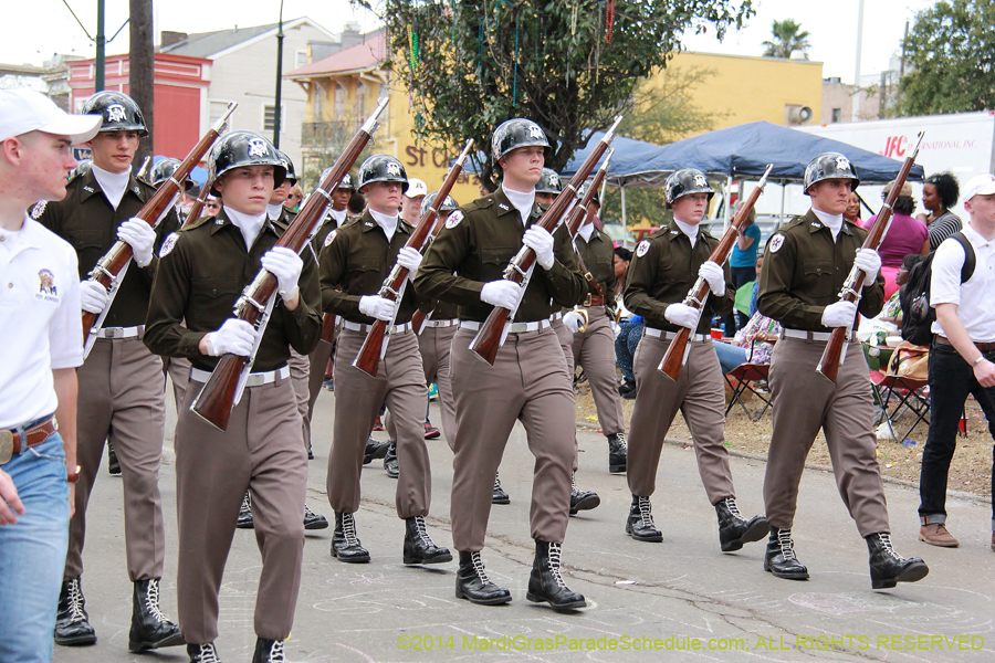 2014-Krewe-of-Iris-11096