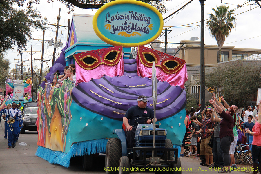 2014-Krewe-of-Iris-11097