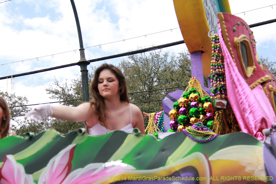 2014-Krewe-of-Iris-11098