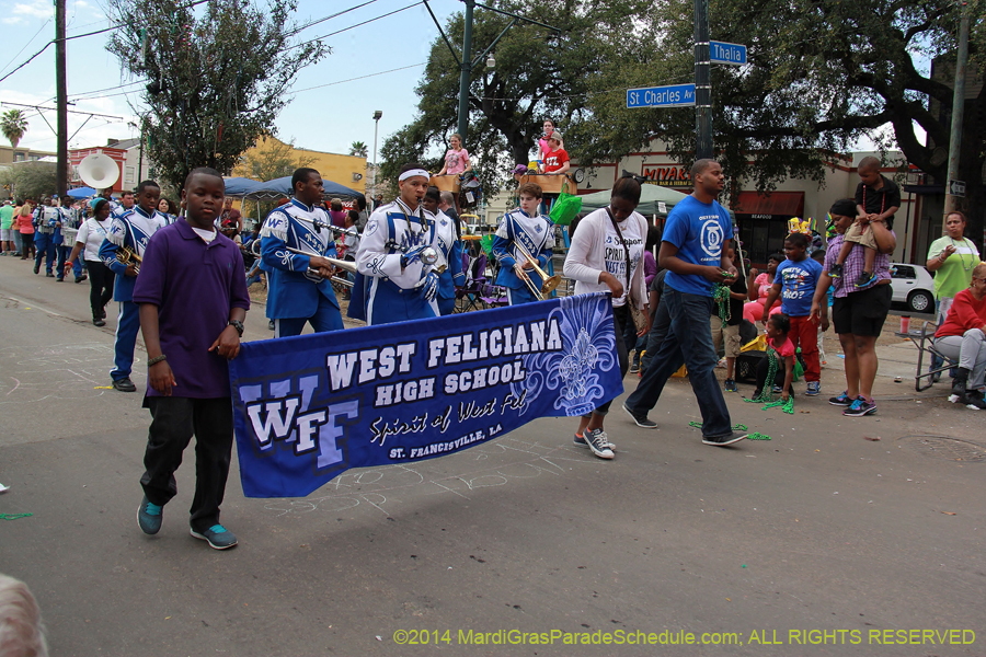2014-Krewe-of-Iris-11103