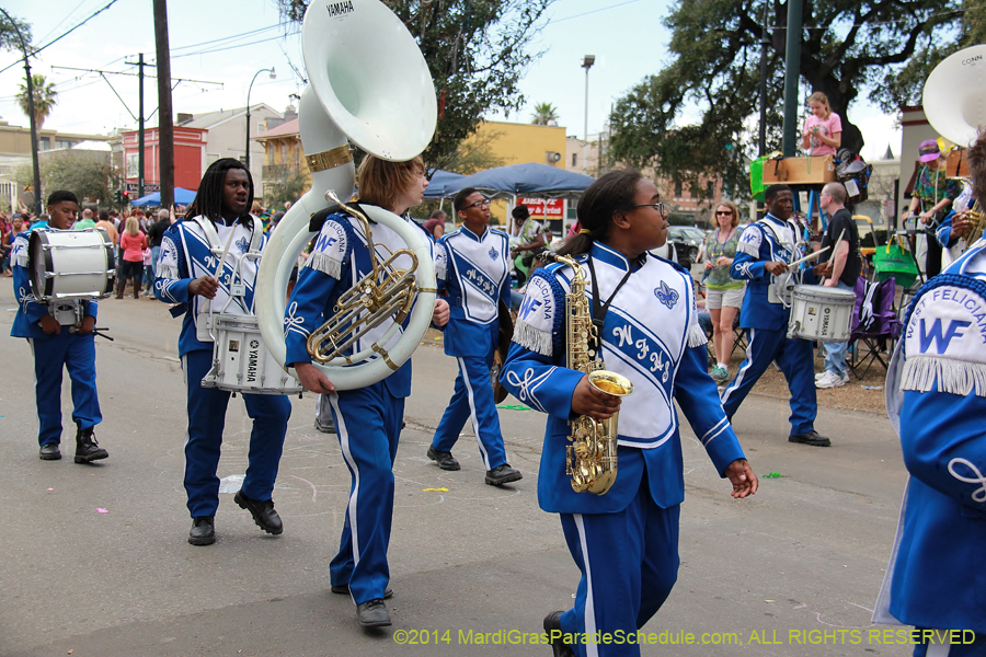 2014-Krewe-of-Iris-11105