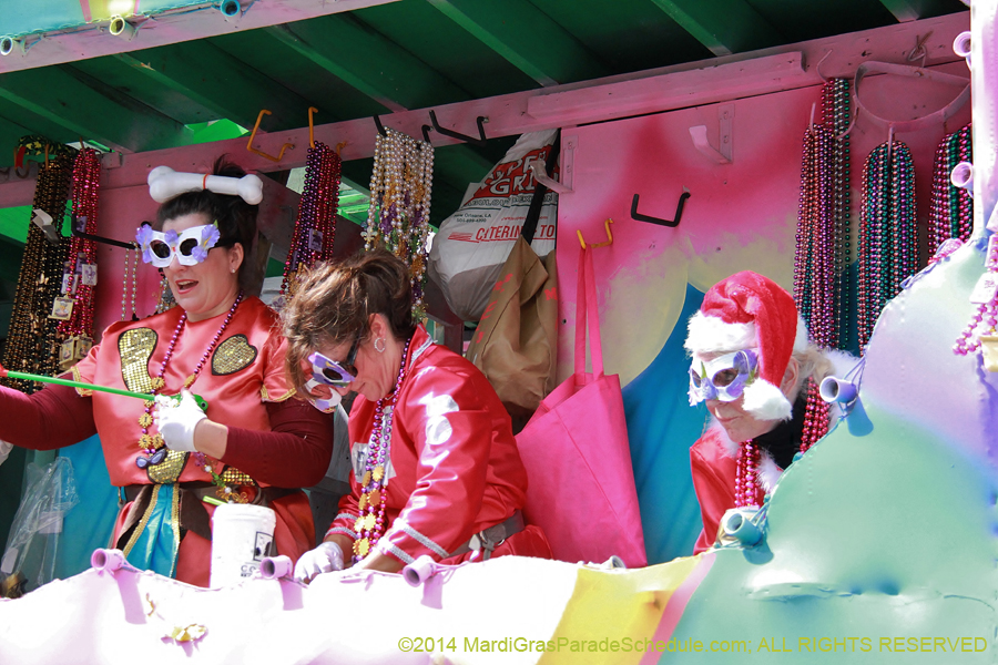 2014-Krewe-of-Iris-11110