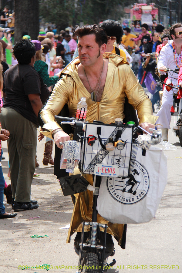 2014-Krewe-of-Iris-11115