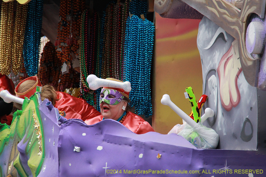 2014-Krewe-of-Iris-11125