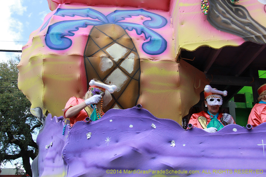 2014-Krewe-of-Iris-11132