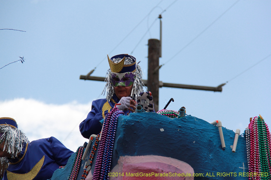 2014-Krewe-of-Iris-11142