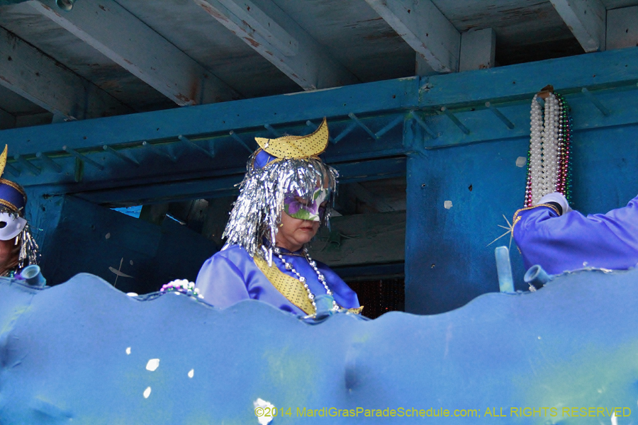 2014-Krewe-of-Iris-11144