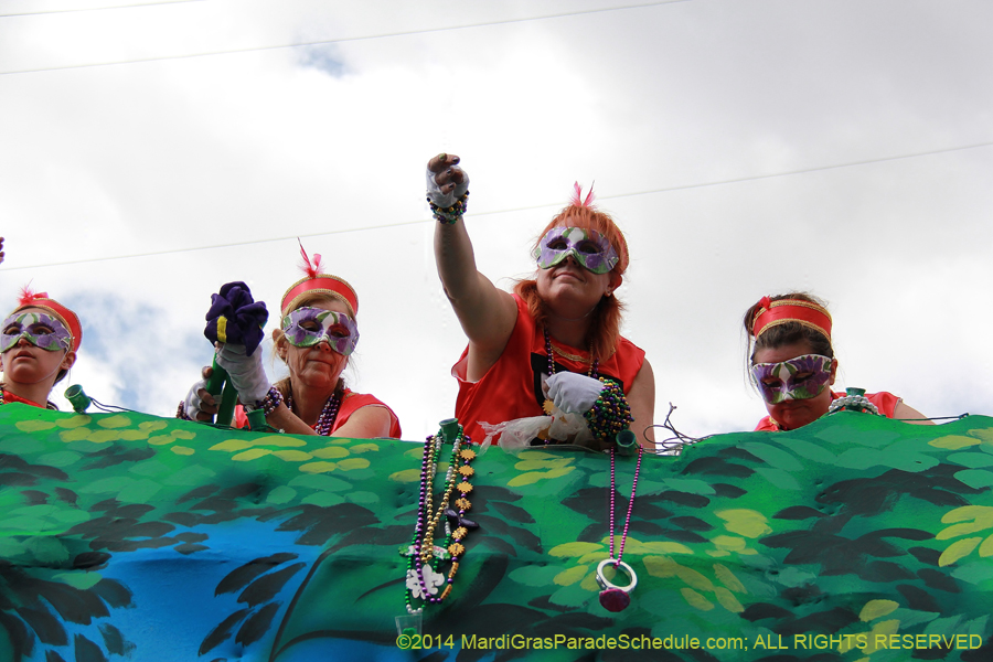 2014-Krewe-of-Iris-11188