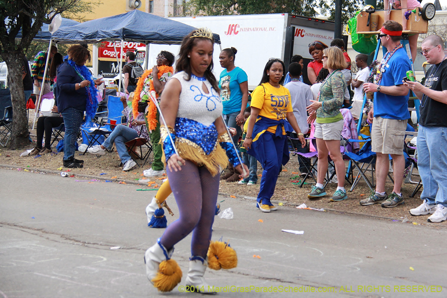 2014-Krewe-of-Iris-11193