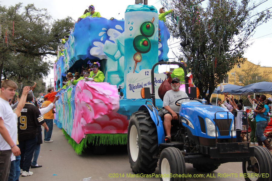 2014-Krewe-of-Iris-11248