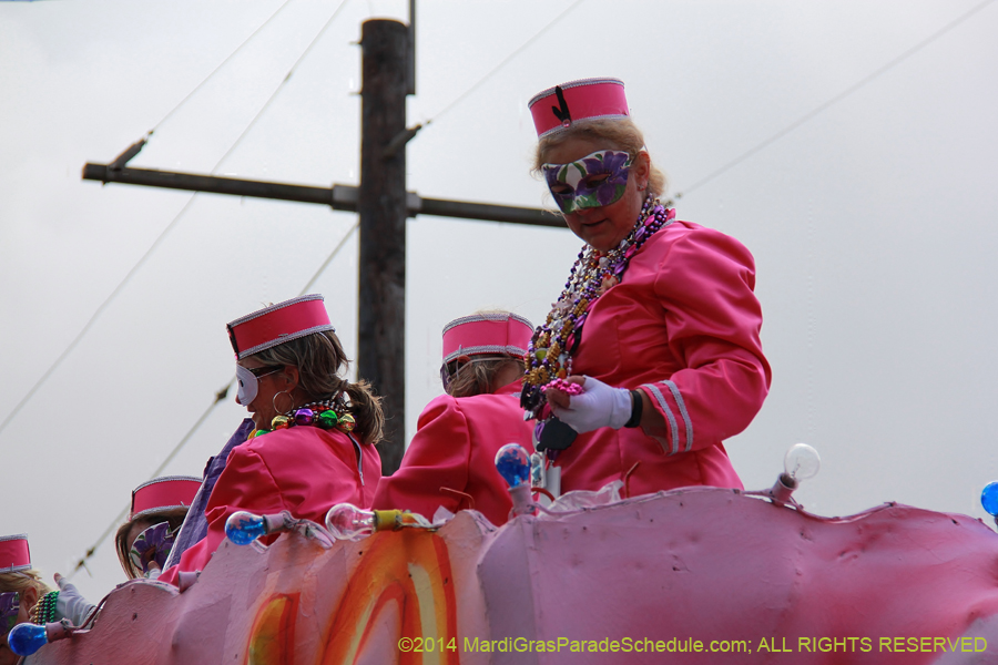 2014-Krewe-of-Iris-11459