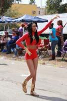 2014-Krewe-of-Iris-11318